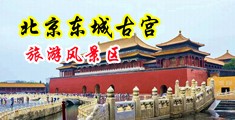 男人狂插女人的大逼图片中国北京-东城古宫旅游风景区