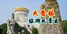 抽送小淫穴视频中国浙江-绍兴大香林旅游风景区